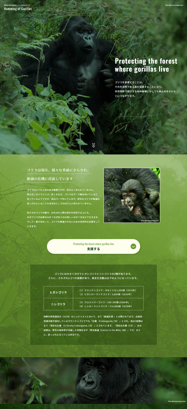 サイトギャラリー